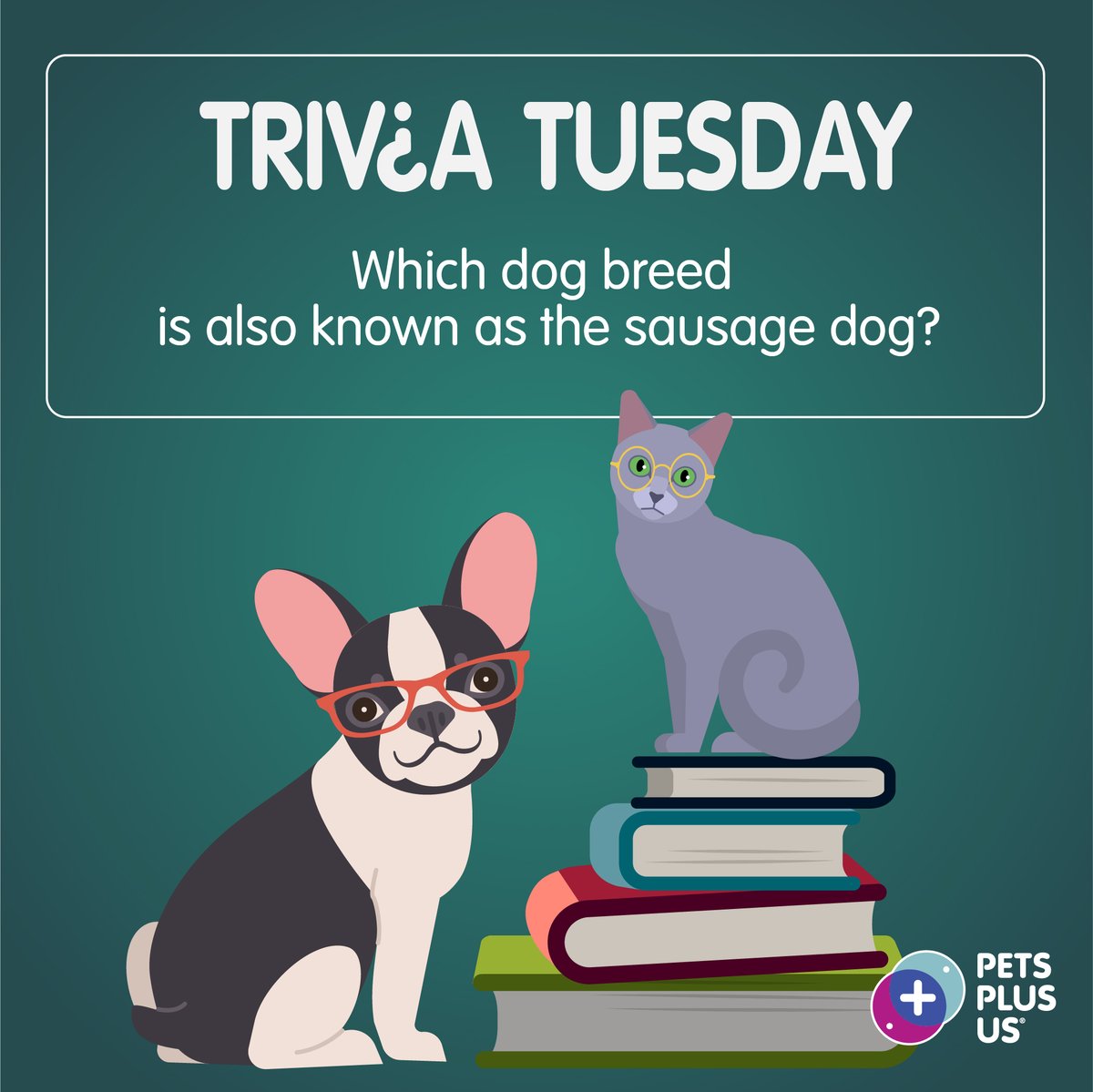#Win a $25 PetSmart gift card! To enter, answer the question, retweet this post and follow <a href="/PetsPlusUsIns/">Pets Plus Us</a> by 11:59PM EST. 

Open to Canadian &amp; US residents (excluding QC). This contest is not sponsored, endorsed, administered by or associated with Twitter.
petsplusus.com/terms-conditio…