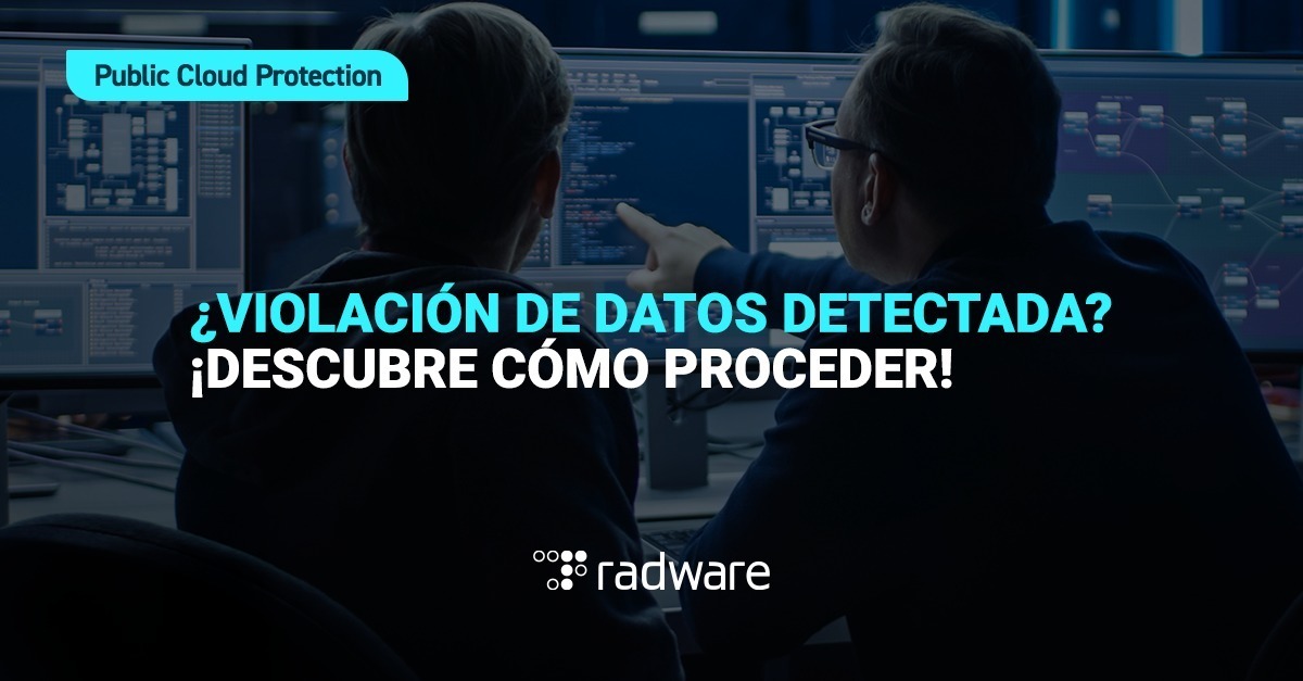 Radware en Español tweet media