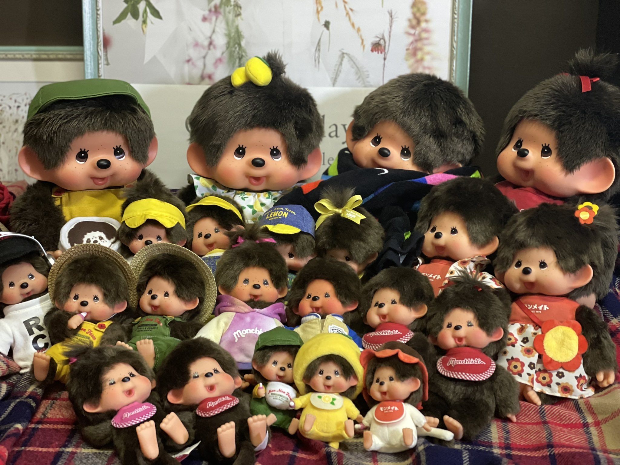 モンチッチ 公式 Rt T3h2qpq7haoub61 モンチッチくん モンチッチちゃん 1 26 お誕生日おめでとう 我が家のモンチくん モンチちゃん達もよろしくね モンチッチ誕生日22 T Co Sgb402wesh Twitter