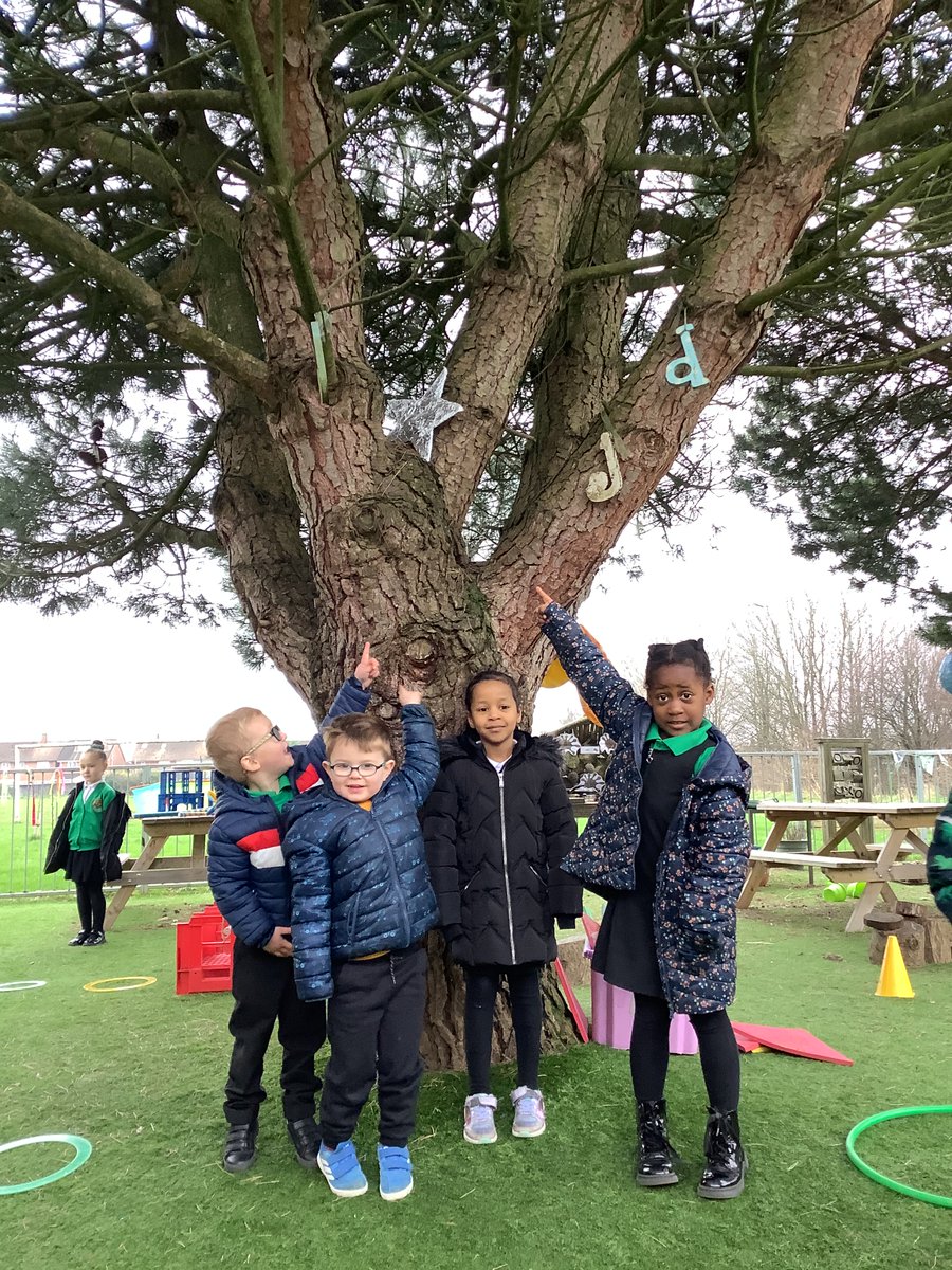 BrynHafodPrm's tweet photo. Reception have been coming up with a plan how to save a fallen star from the tree! We’ve had some great ideas from Bryn Hafods brilliant thinkers! 💫💡 https://t.co/640yCPAeLg