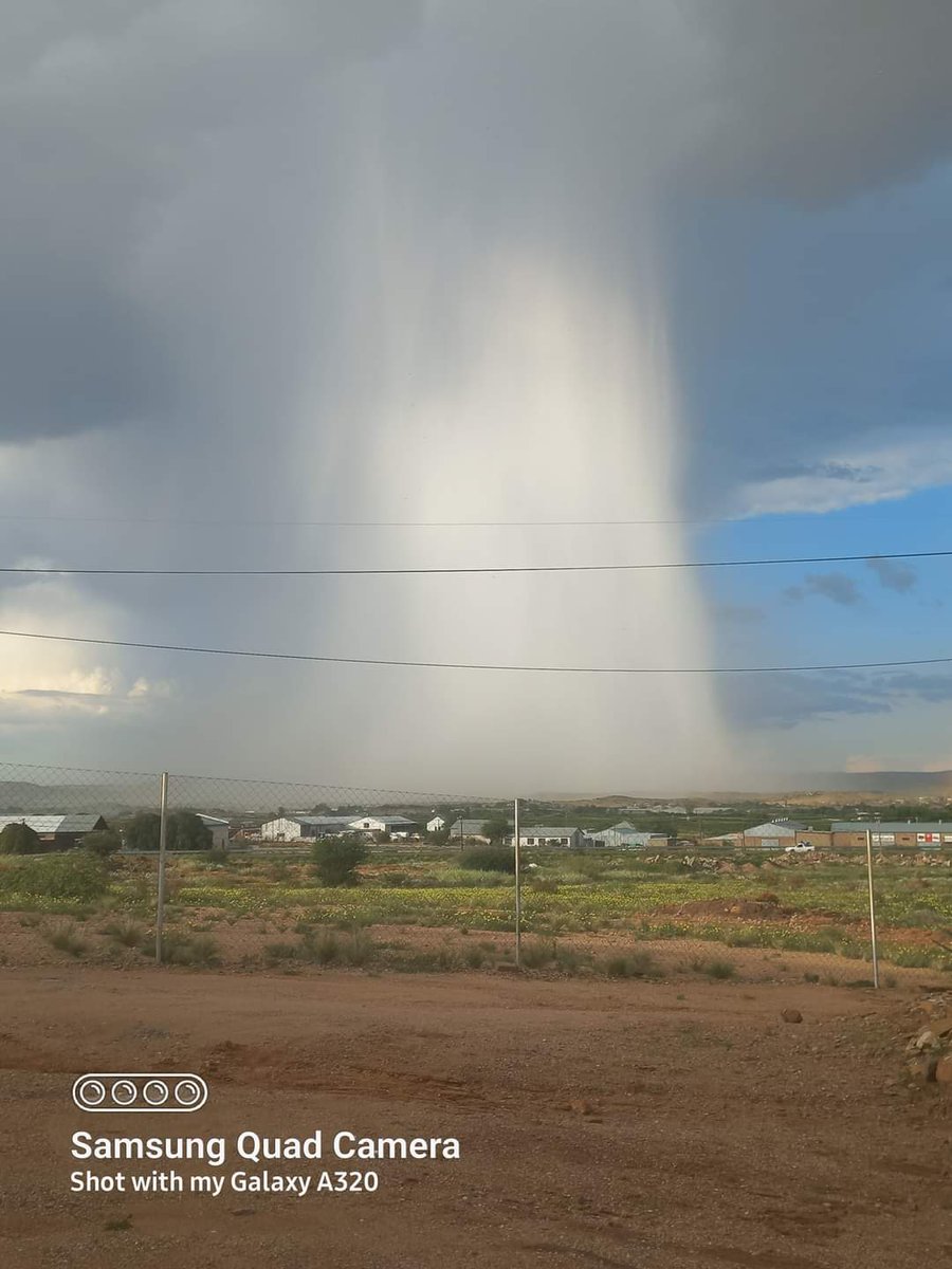 ReenvalSA tweet media