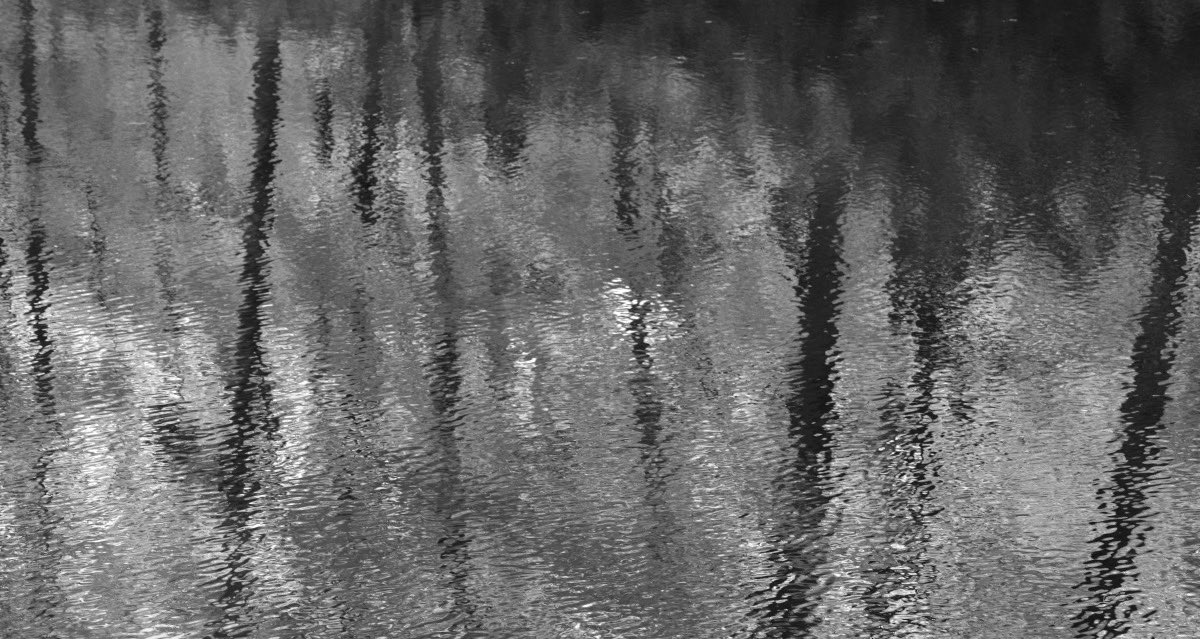 Reflections, Black River, Ryde Township, Ontario, Canada