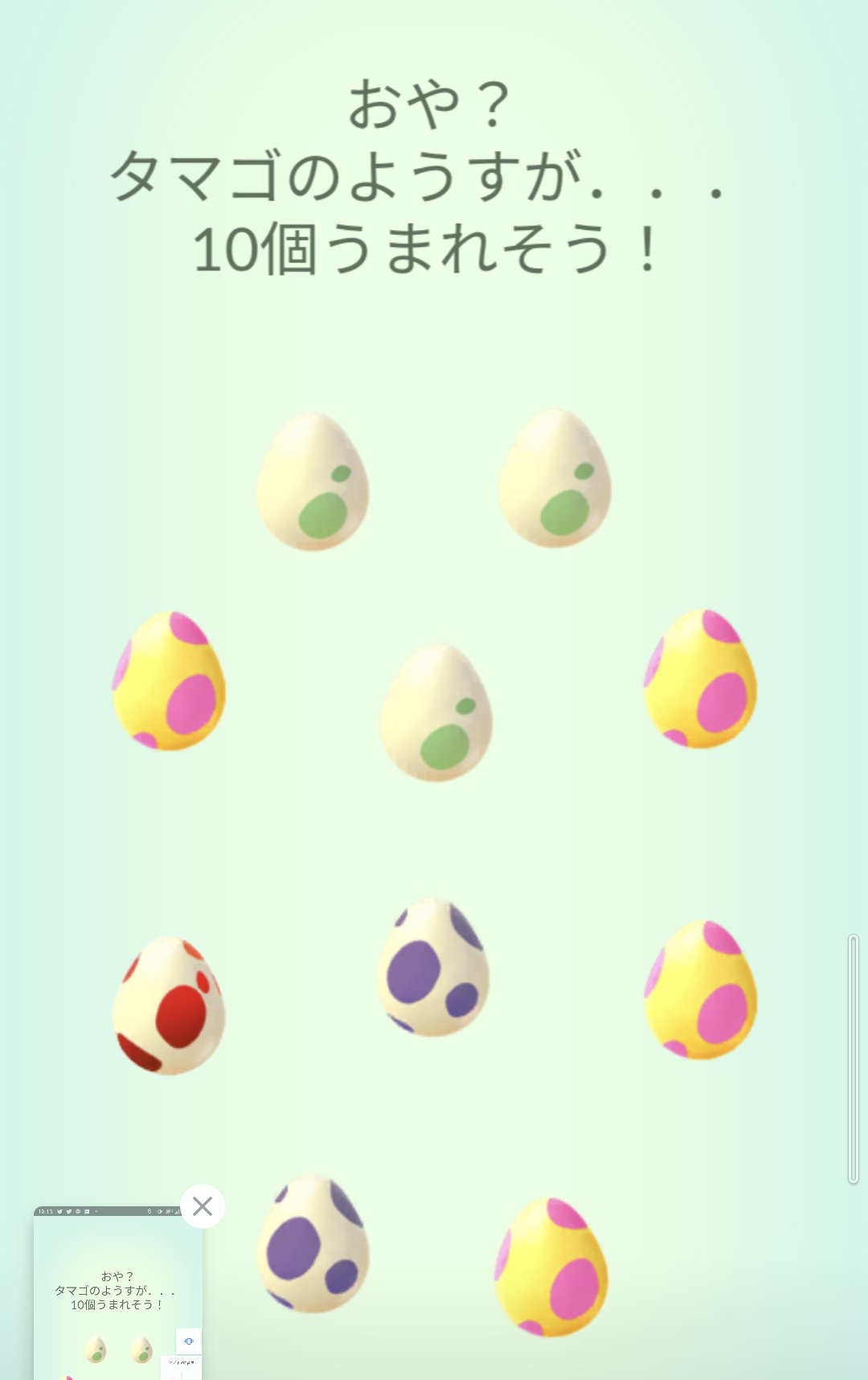 Konio 同時に10匹孵化は珍しい気がする ポケモンgo T Co H2xef0qtsh Twitter