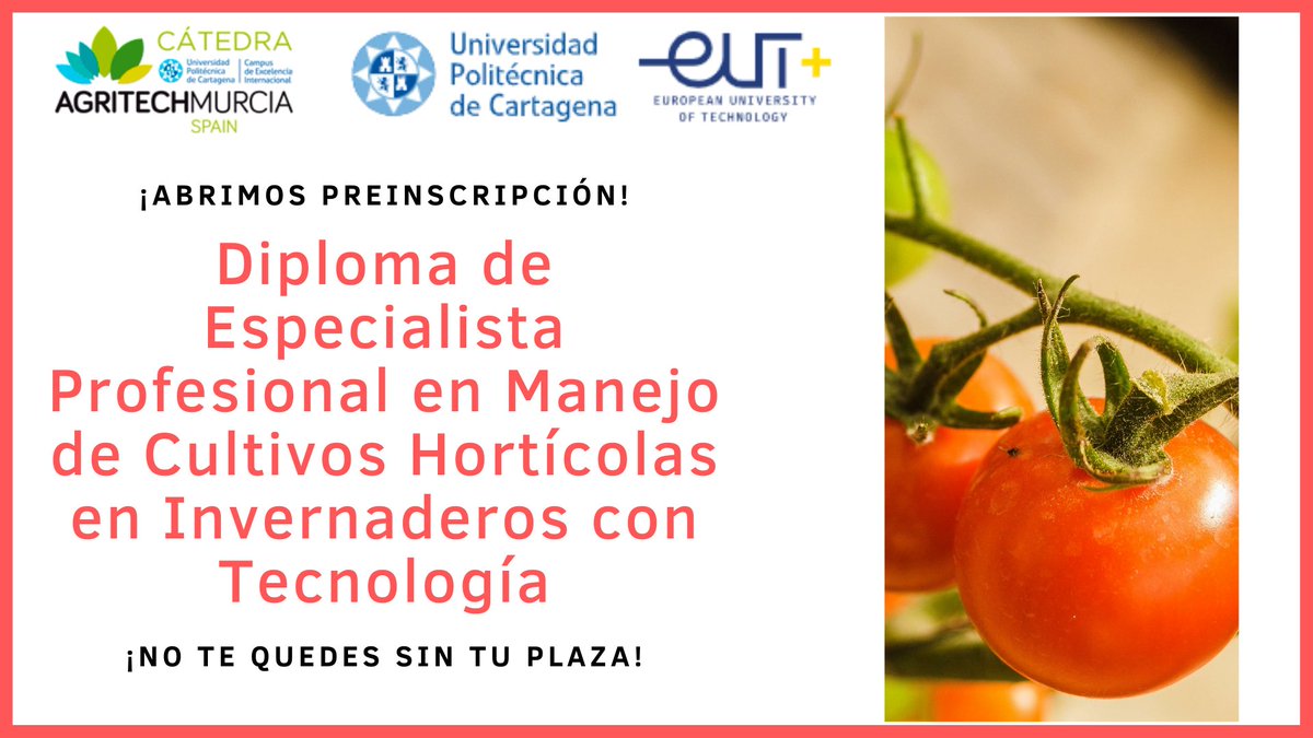 CURSO EN CULTIVO DE HORTÍCOLAS EN INVERNADEROS - ¡ABRIMOS PLAZO DE INSCRIPCIÓN! - mailchi.mp/74474186a4f0/c…