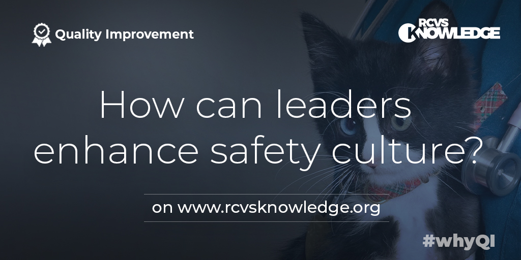 RCVSKnowledge's tweet photo. By bringing teams together, senior leaders in all departments can promote a supportive culture, enhancing patient safety to the benefit of practice teams, patients and clients. Read more in our previous #QIFeature: https://t.co/3Zmskhrhjq
#WhyQI https://t.co/iwLTHQALL6