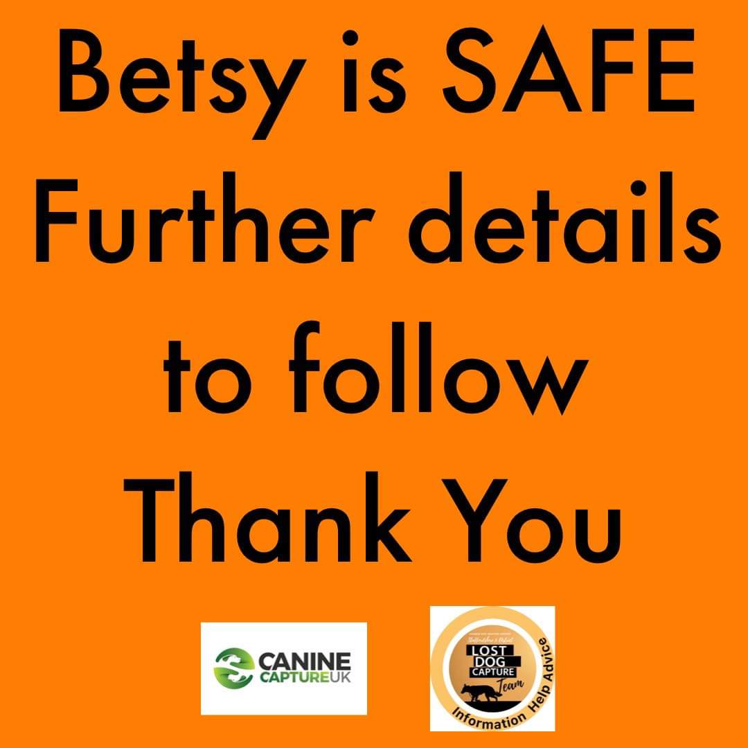 MissingPetsGB's tweet photo. Happy Tuesday ❤❤ Look at this incredible news ❤ So, so pleased. Close to two months on... https://t.co/uq7C7mOWAX