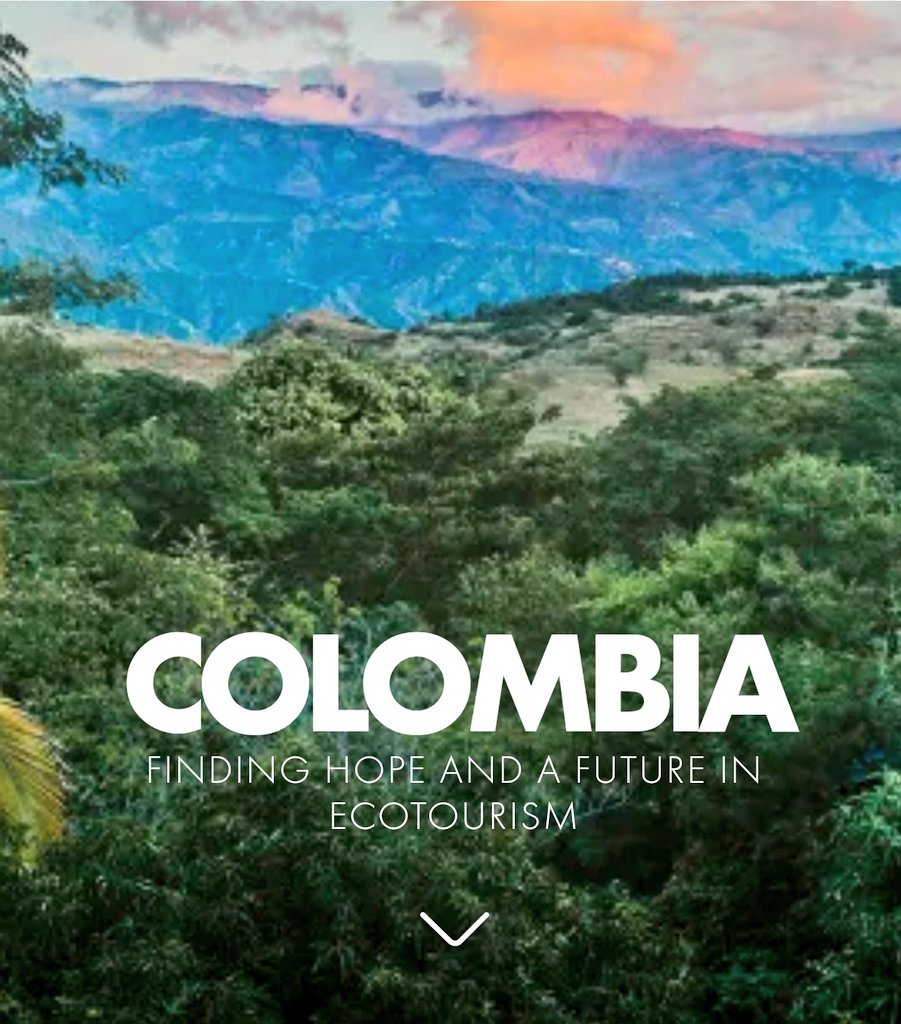 LatAmTravelist's tweet photo. British writer &amp; birder Chris Bell brilliantly sets out the benefits of #birding &amp; #ecotourism for the future of #Colombia, one of the most #biodiverse countries in the world. 
Read Chris's insightful overview of this paradise for birders:
https://t.co/Ry0vqezewF

#VisitColombia https://t.co/R2IuM0R1TQ