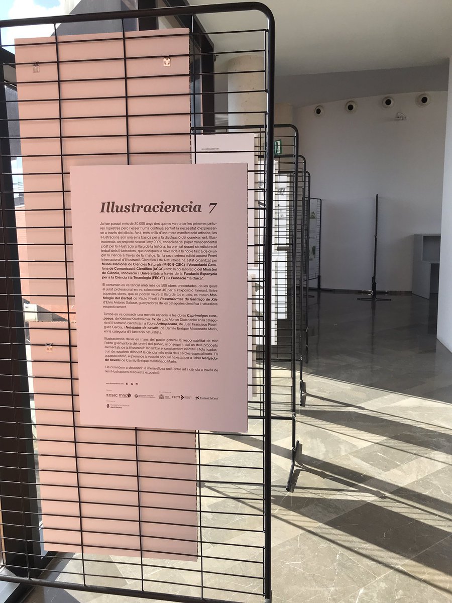 Pataqueta's tweet photo. Preparando las jornadas del @ICBiBE_UV. Exposición de @illustraciencia cedida por el @JardiBotanicUV https://t.co/PbN0zHQnEG