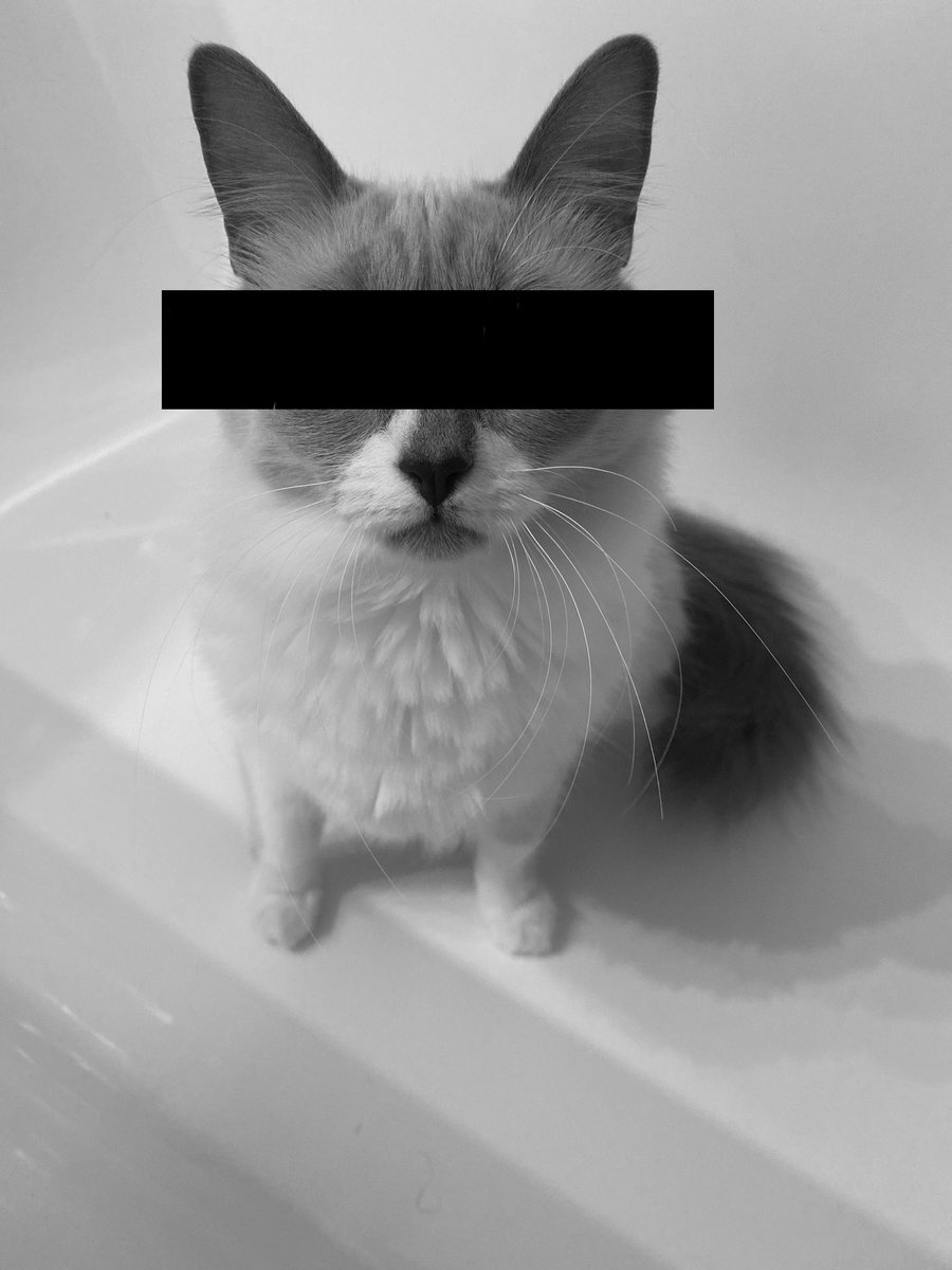 Black and White ASDF (BlacknWhiteASDF) Twitter