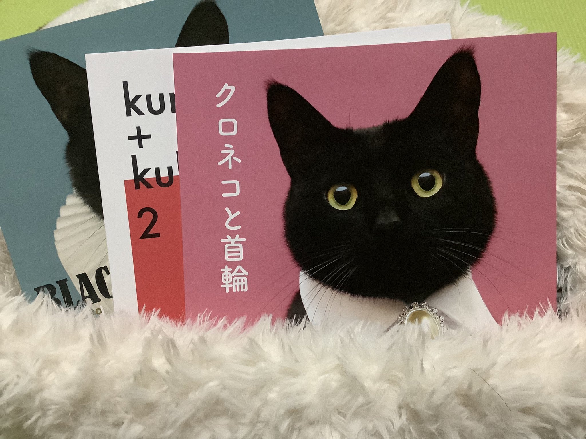 木野聡子 Akiko Kino A Kinokino Twitter