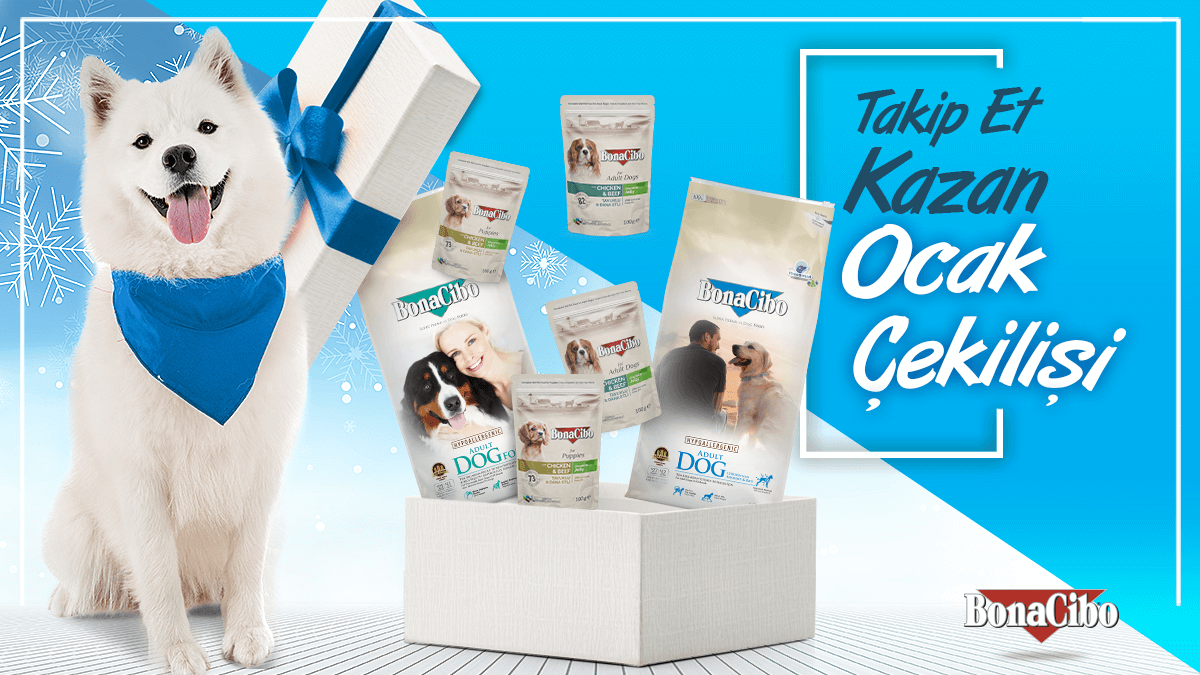 Bonacibo Cat & Dog Food tweet media