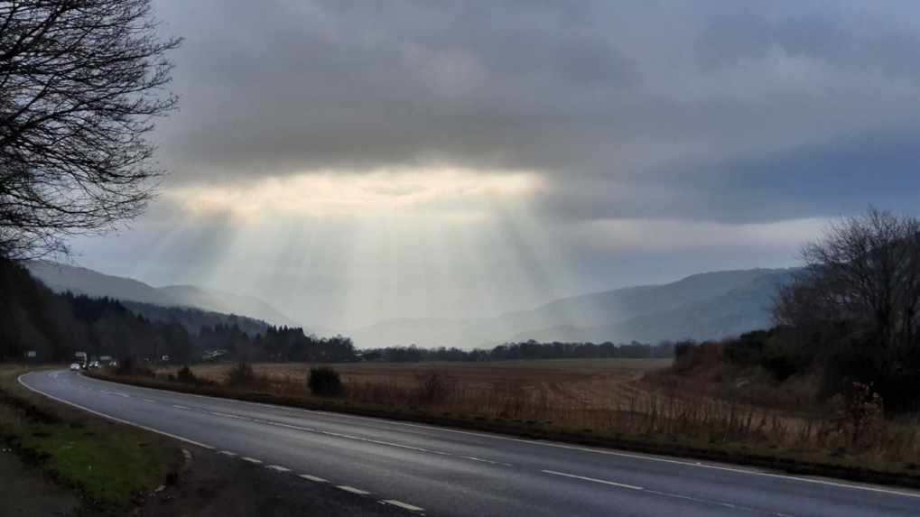 Spotted on the way home… 😍