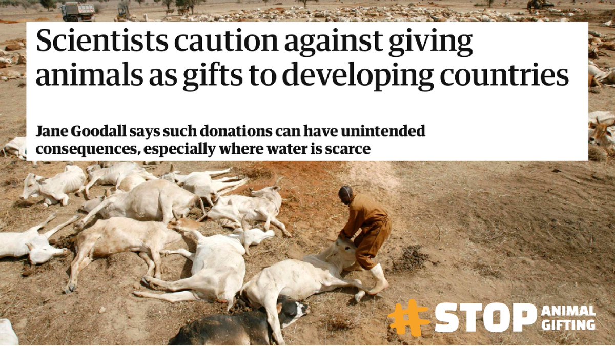 Anita Krajnc tweet media