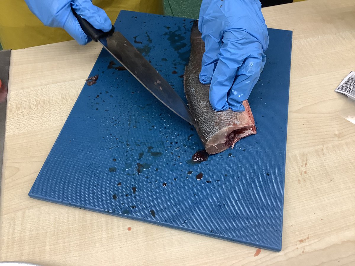 DHFSFoodTech's tweet image. Excellent skills demonstrated today by our Y10 food groups - fish filleting and looking at the freshness of the food ingredients we buy.  Massive thanks to @jamieoliver for the helpful filleting video - a really good guide for students. @DHFSUpdate