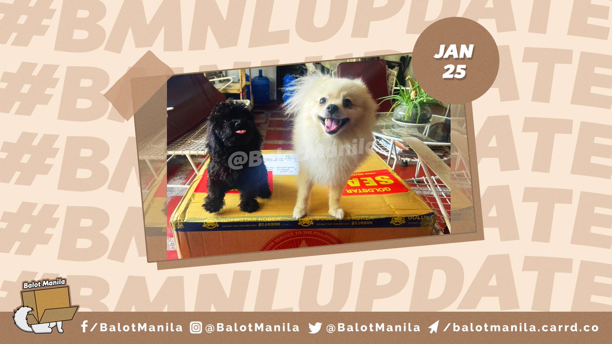 BalotManila's tweet photo. ˗ˏˋ #bmnlupdate ˎˊ˗

Today, January 25, 2021, our Balot 5 arrived in the Philippines from South Korea! ✨

Please give us time to properly disinfect and sort your items. We will ship them out as soon as we can. 💗 

#BalotManila https://t.co/0PaszTRcwL
