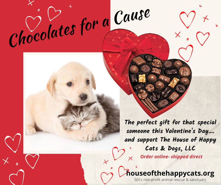 Just in Time for Valentine’s Day Order your Valentine's Day chocolate and support "House of the Happy Cats". Order online Ships Direct. Please help us reach our goal. 💝💘Ends Jan 28  FINAL 3 DAYS.   yumraising.com/secure/houseot… #chocolateforacause #catrescuefundraiser #boxofchoclates