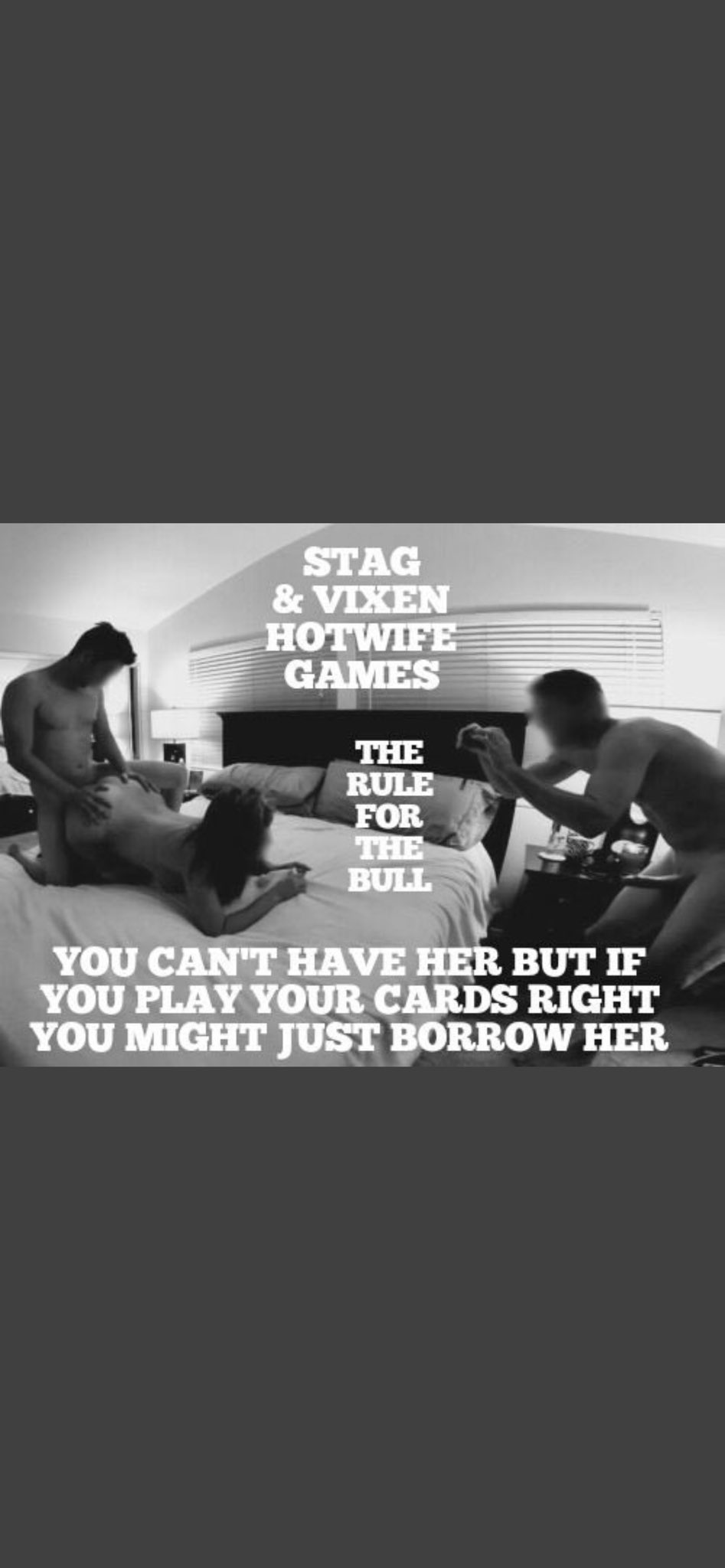 Stag And Vixen Games BEST GAMES WALKTHROUGH
