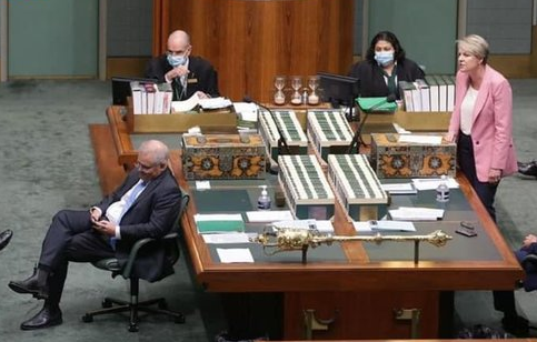 BrentHodgson's tweet image. Man, that Grace Tame chick was outta line, right?...

🧵