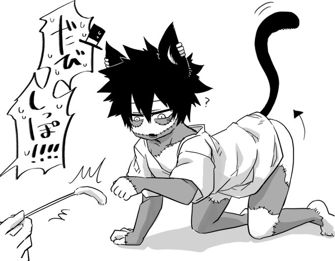 🐈だびちゃん 