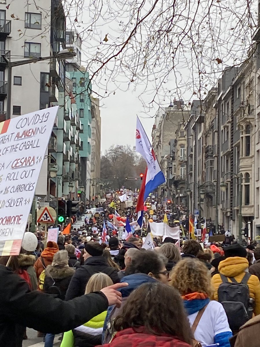 Djuggling's tweet photo. The fight for our freedom, the march against the New World Order madness, is the same fight as the one for Julian Assange’s freedom.

#JulianAssange

#Brusselprotest #DropTheCharges #FreeAssange #WeAreAllAssange https://t.co/wvqmJFGPjk