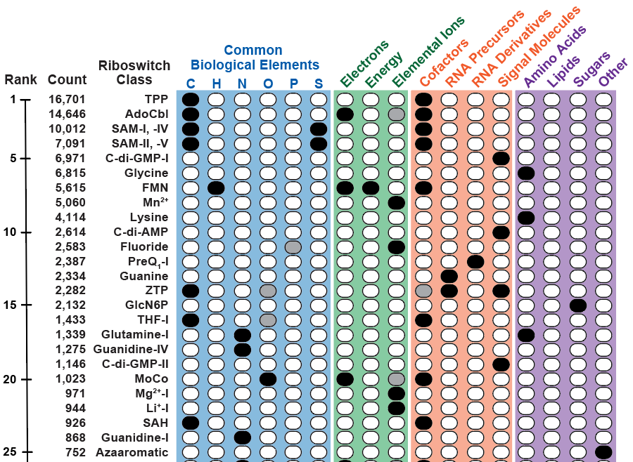 I put together an analysis of #riboswitch ligands for <a href="/BiochemistryACS/">Biochemistry</a>. Expected trend: these RNAs sense many #RNAWorld things, and manage other fundamentals. Oddly, riboswitches do not perform #phosphorus management duties, and completely ignore #lipids. doi.org/10.1021/acs.bi…