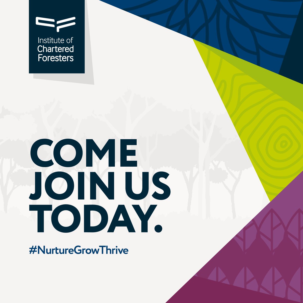 TheICF's tweet photo. Starting out in #forestry or #arboriculture? Or thinking of taking your next steps in the sector? Make 2022 the year to supercharge your career progression! Discover the benefits of Institute membership. Join us today: https://t.co/SNn6taTYcR   
#NurtureGrowThrive https://t.co/KbHtlI2lY3