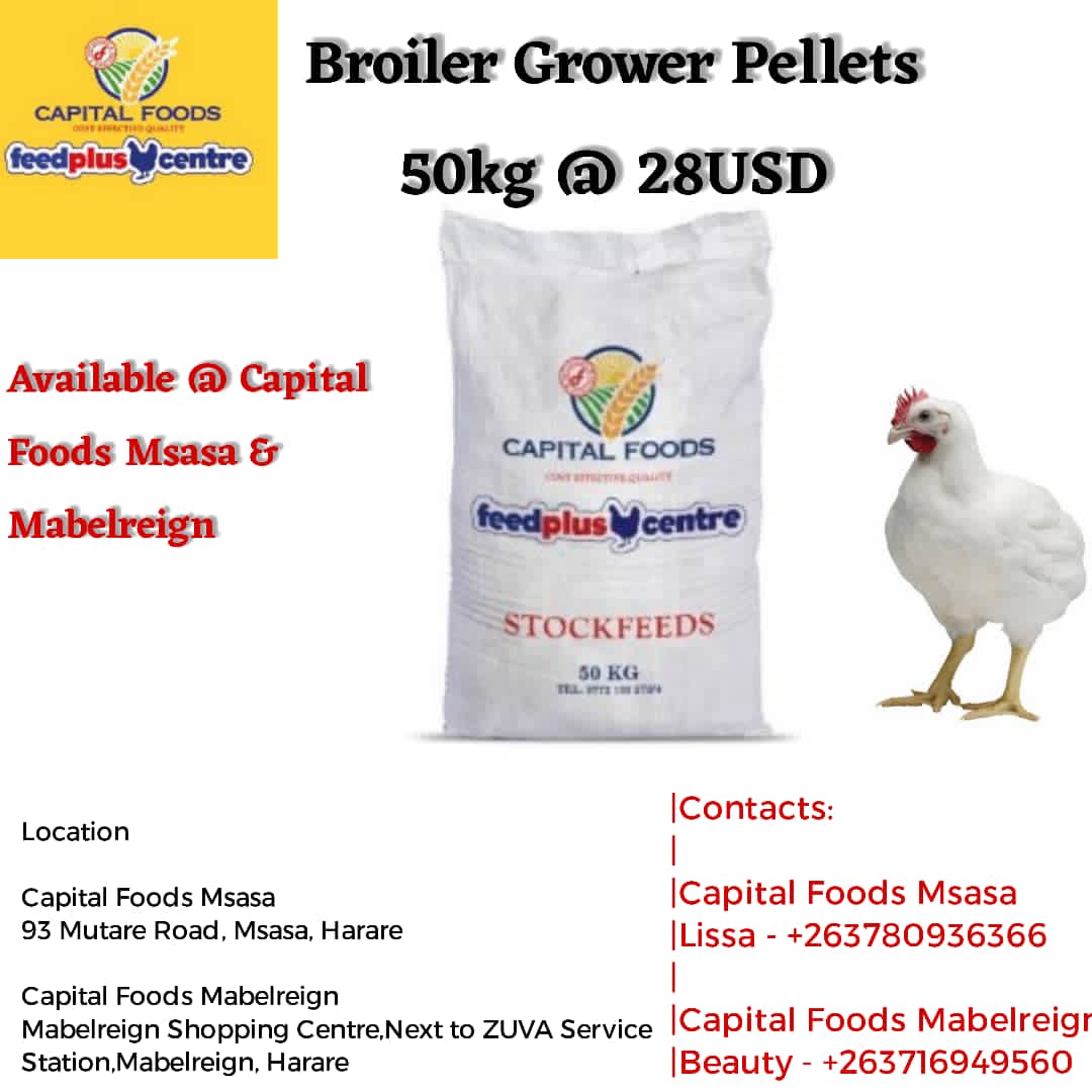 CapitalFoods2's tweet photo. All livestock feed and day old chicks  available at Capita Foods branches 
Call 0780936366
Or 
0716949563 https://t.co/QSqvdzQDl5