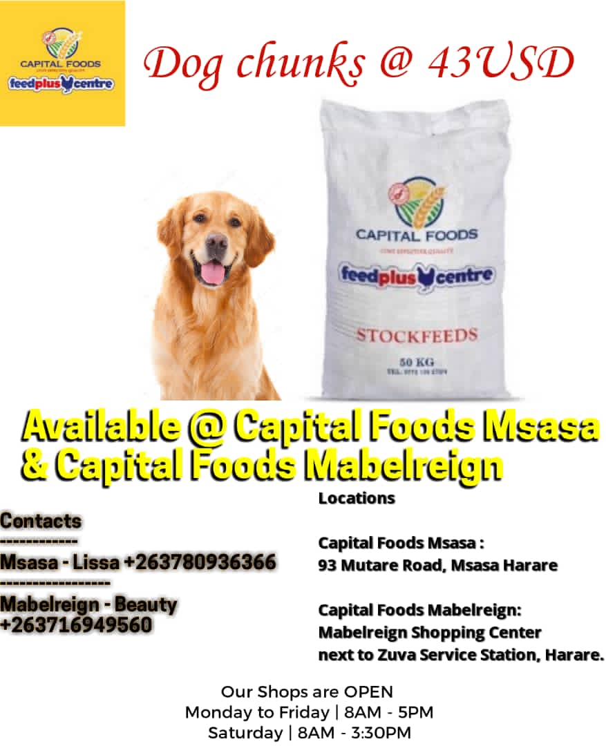 CapitalFoods2's tweet photo. All livestock feed and day old chicks  available at Capita Foods branches 
Call 0780936366
Or 
0716949563 https://t.co/QSqvdzQDl5