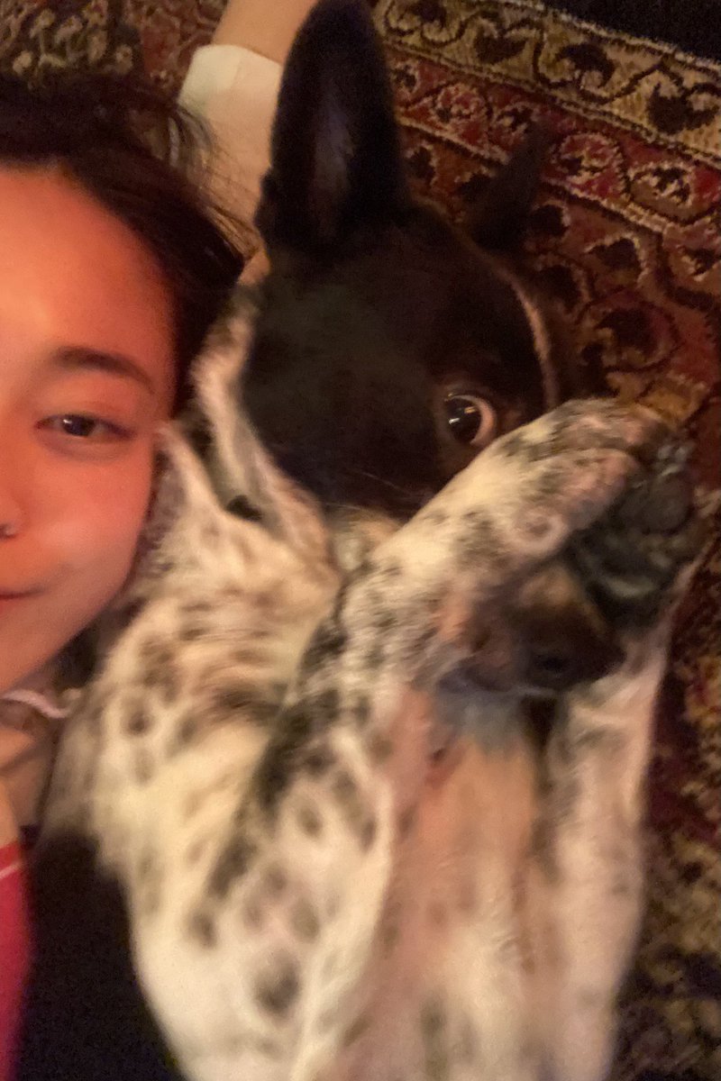 滝裕可里 S Tweet 今日は月に一度のフィラリアの薬を飲む日でした フィラリア陽性犬にとってフィラリアのお薬は治療には欠かせませんが それでもリスクは0ではないのでこの日は少々ドキドキしながら常に様子を見ていられるように一緒に過ごします なにもなくて