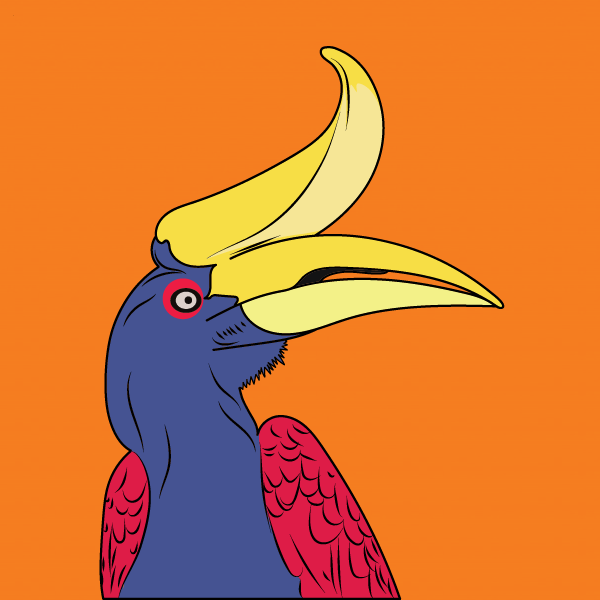 hornbillynft's tweet photo. The Horn Billy(s) are still in Sarawak's rainforest. Here's a sneak peek on how they look like. https://t.co/tfZUxX1DmP