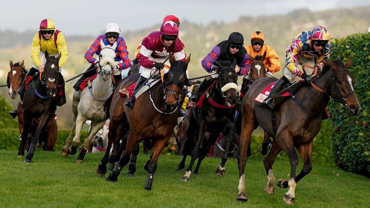 The Cheltenham Festival starts today and will run until 18th March with fans allowed back on site following last years Festival. 🏇
📷 Telegraph.co.uk
#CSL #CSLEvents #CSLHospitality #CheltenhamFestival #HorseRacing #CorporateEvents #LiveEvents #CorporateEntertaining