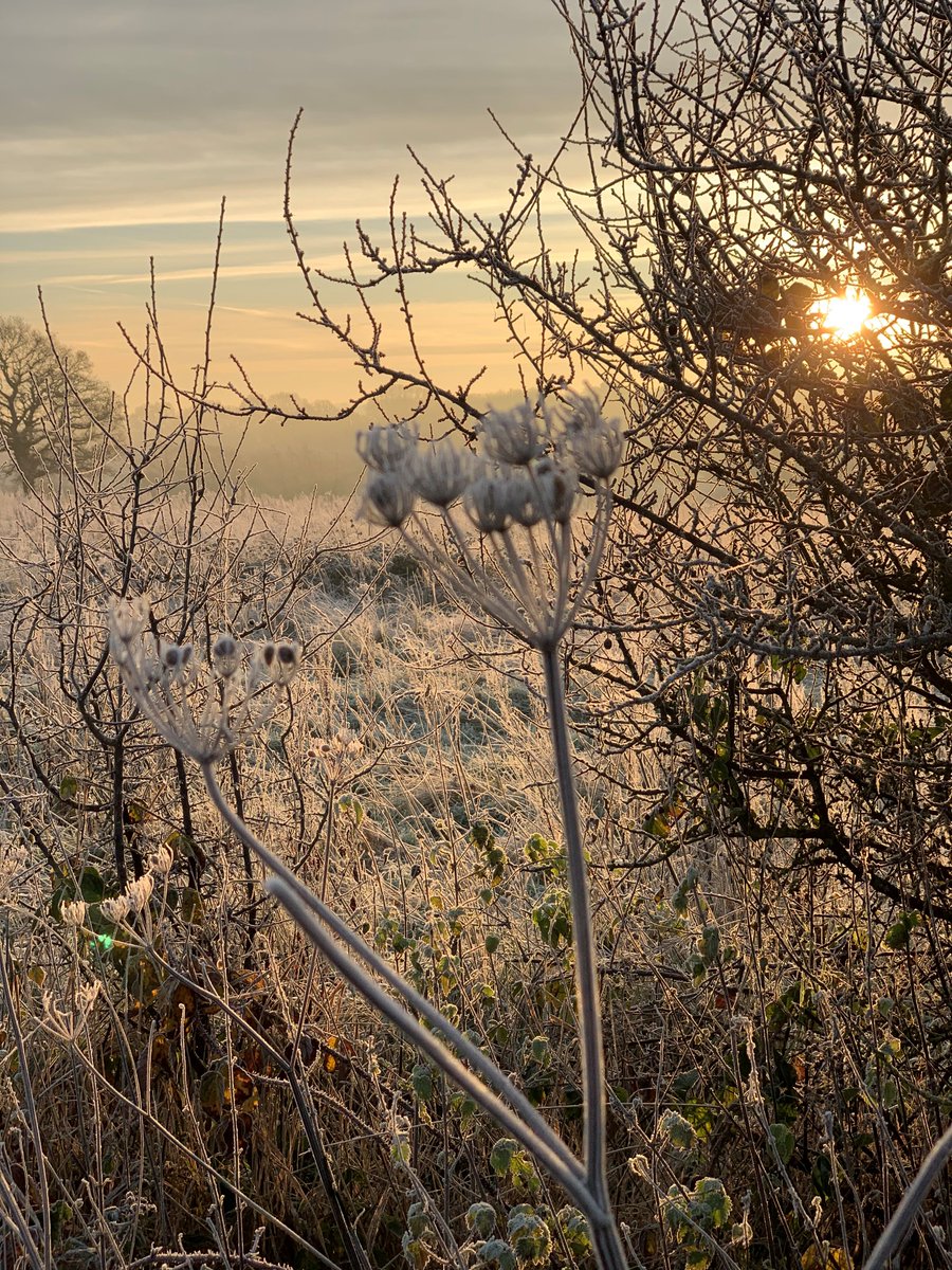 Our #2022 #gourmet calendar kicks off with our #WINTER taster  #dinner. A #FABULOUS 10 course feast with 5 matched glasses of #wine. £89pp. Please call 01424 751137 to book @Visit1066 <a href="/1066Tweets/">1066 Tweets</a> <a href="/VisitSussex/">VisitSussex</a>  #finedining #foodlover #foodie #eatingout #eatlocal #localfood