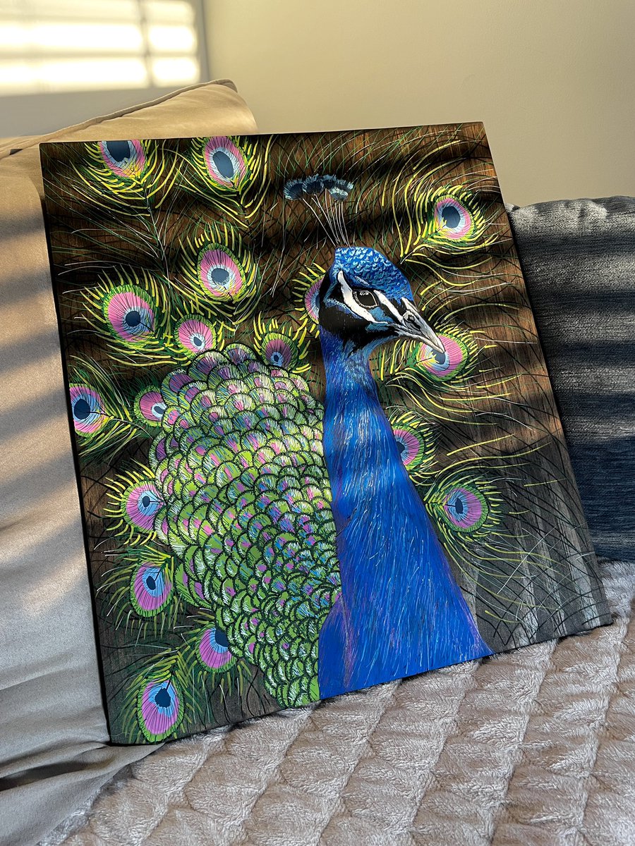 Peacock painting

Prints available in website shop! Juniordesignsart.com 
#artprints #painting #ArtistOnTwitter