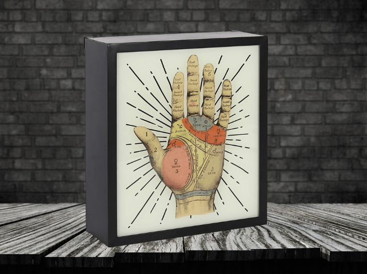 BiggInteriors's tweet photo. This unique, light up Palmistry Box would be a fantastic addition to any decor with its bright colouring and new aged look.
#homedecorinspo #interiordecor #homeinspo #sorealhomes #decor #homedecorating #housedecoration #homedecoration #bigginteriors #visitbolsover https://t.co/csbrHlIZvs