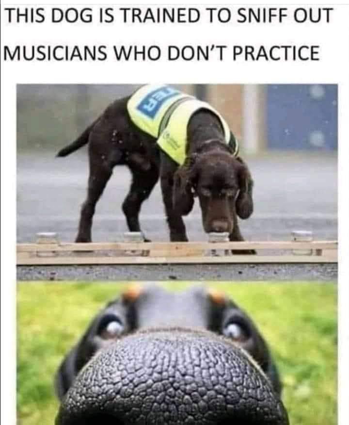 Mom's Music tweet media