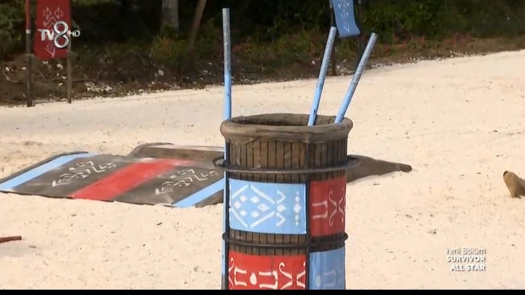 serenaysplanet's tweet photo. bunu tek bir kisi yapabilirdi zaten.. #SurvivorAllStar2022 https://t.co/Yi8Bdglead
