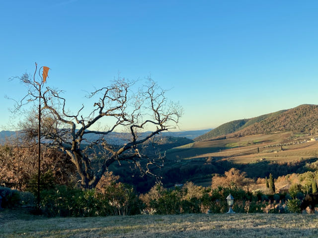 Brunello tweet media