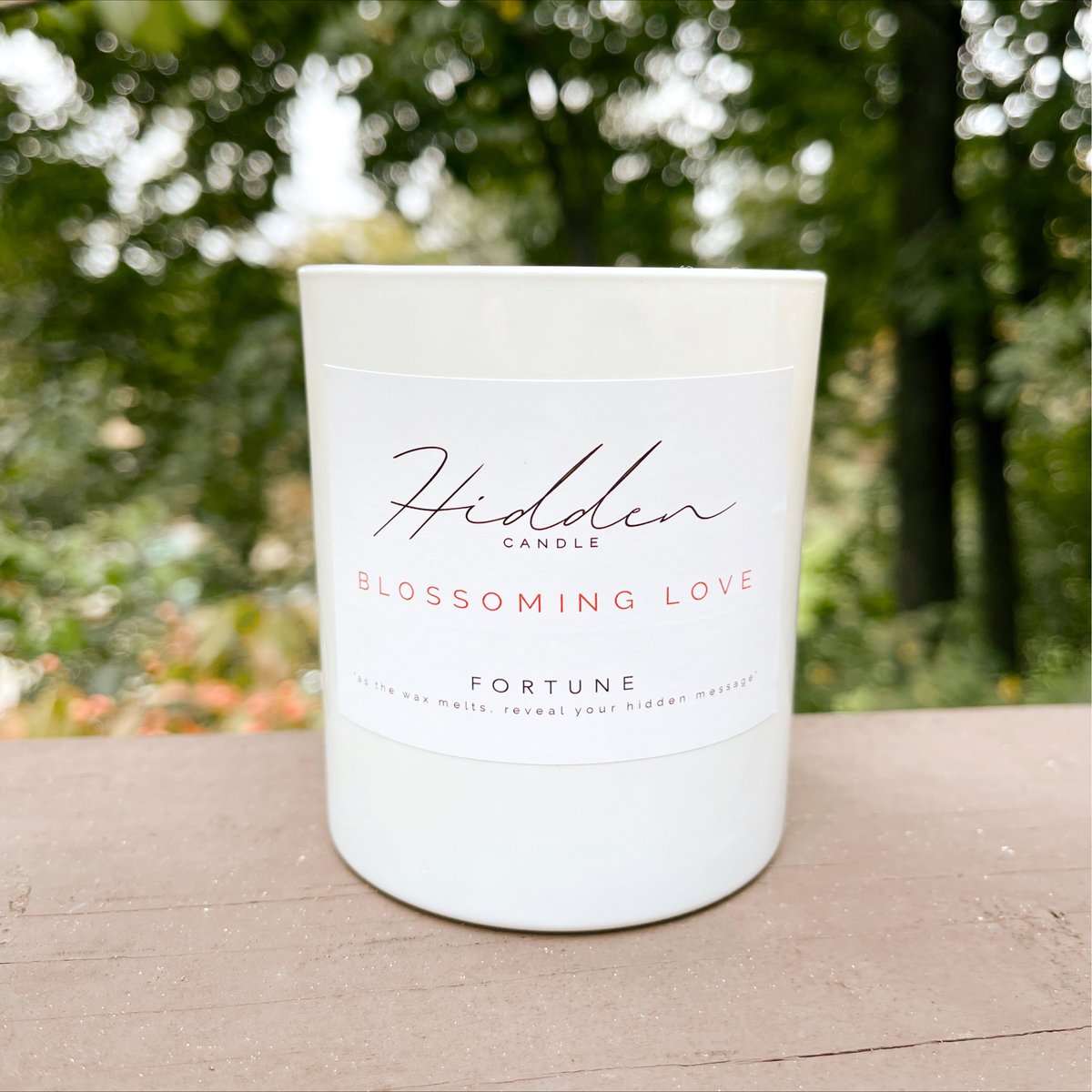 HIDDEN CANDLE (HiddenCandleCo) Twitter