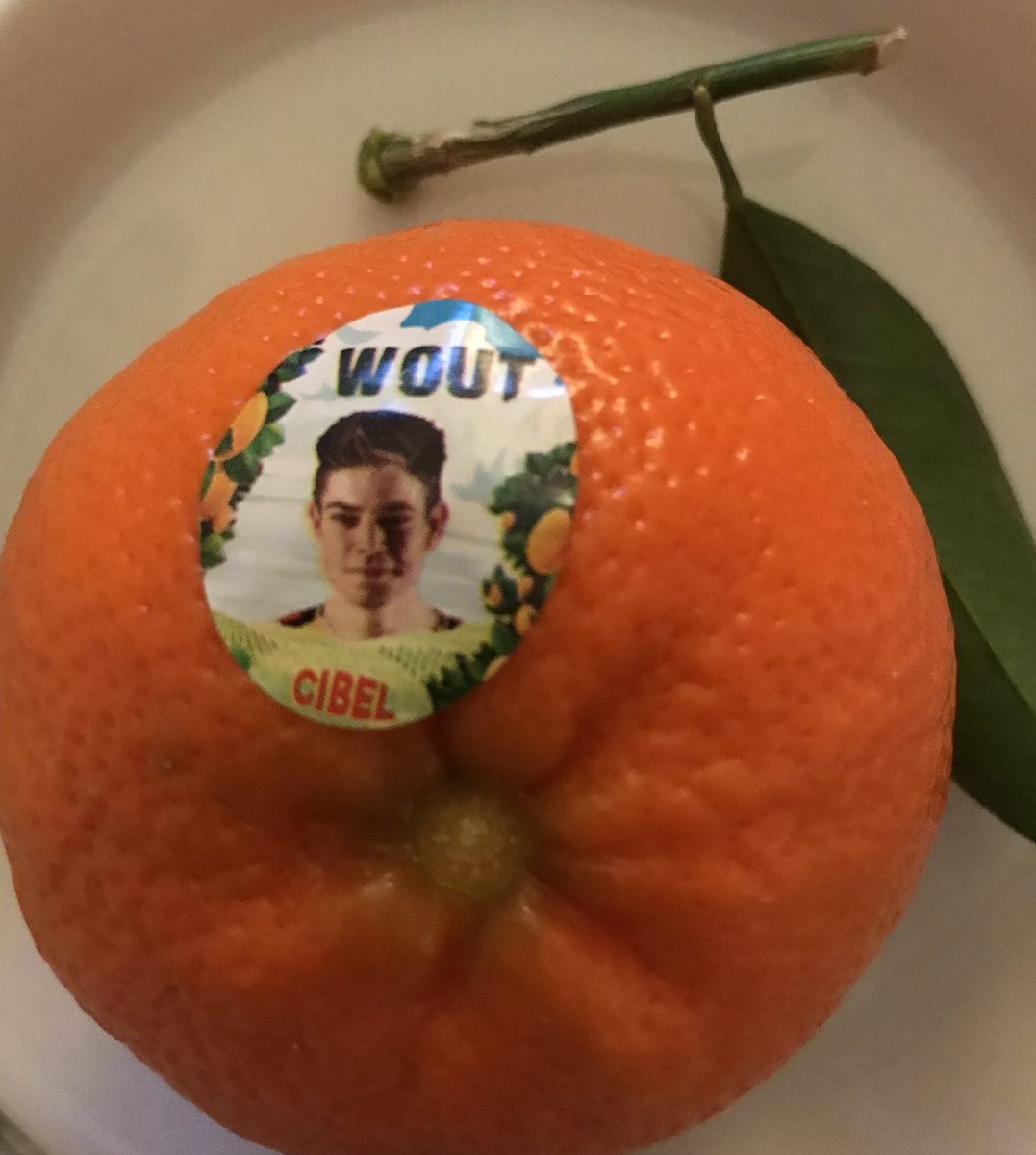 HildeStroobant's tweet photo. 😀 #Cibel #Jumbo https://t.co/zDsnB6v9bh