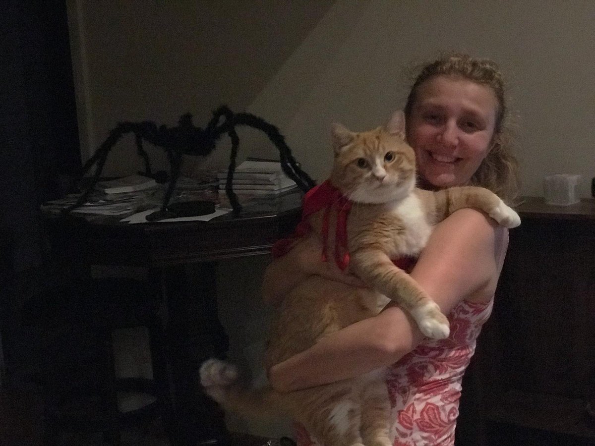 Spider attack!Save me!