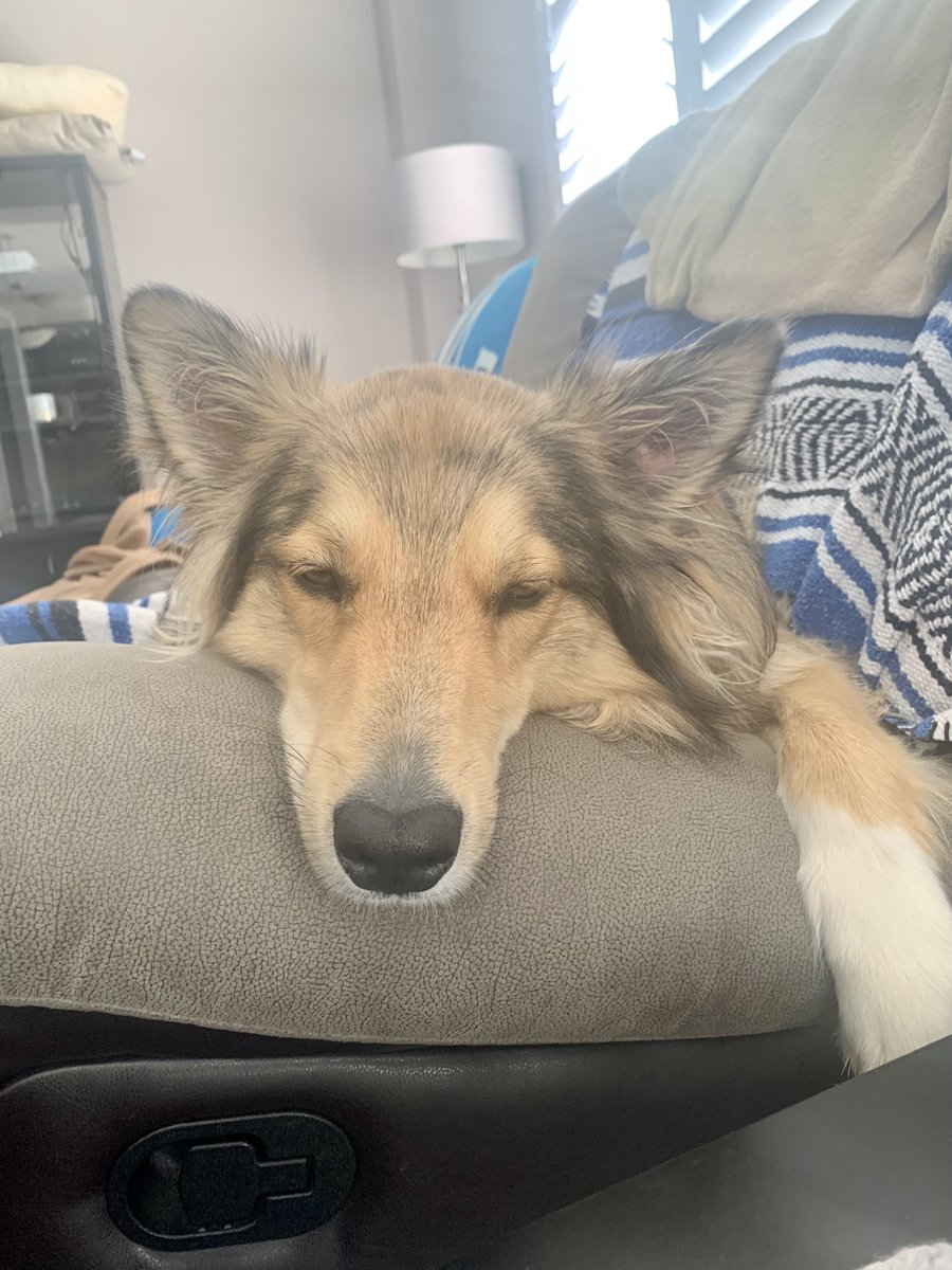 Zuko's Tuesday POV: Working hard or hardly working?