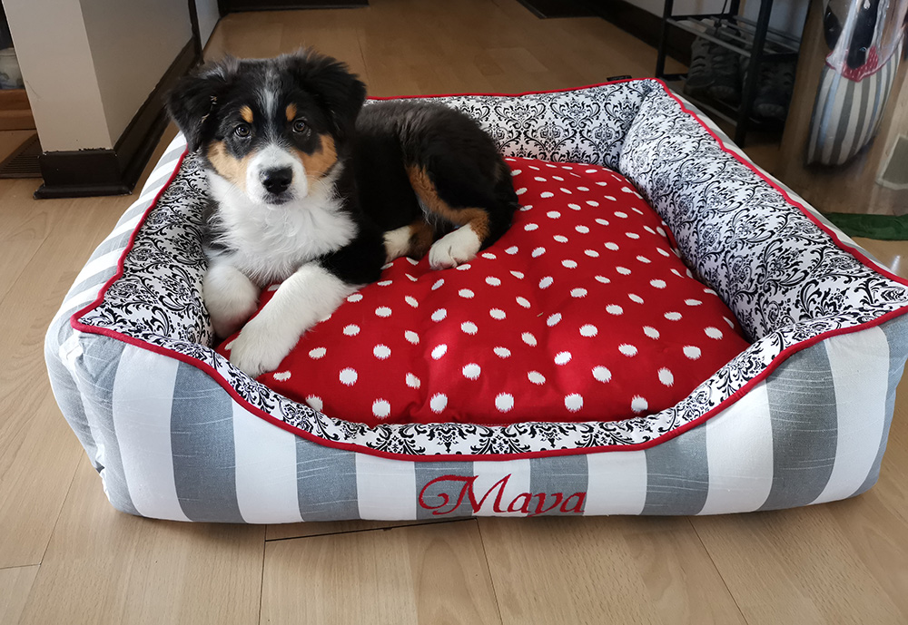 adore custom pet beds