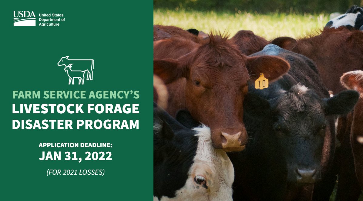 .<a href="/USDA/">Dept. of Agriculture</a> reminds ranchers and livestock producers that the deadline to apply for financial assistance through the Livestock Forage Disaster Program (LFP) for 2021 grazing losses due to drought is 1/31/22 go.usa.gov/xtN2e