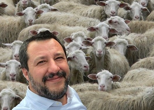 #Salvini