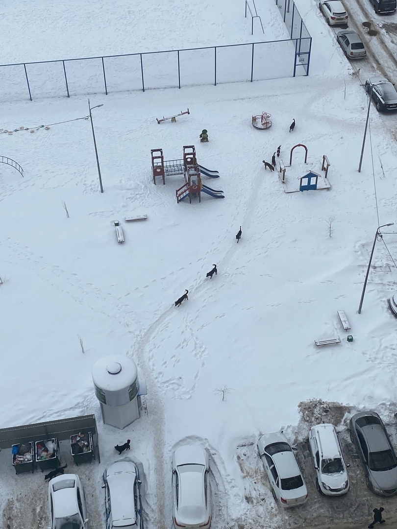 Волгарь г.Самара tweet media