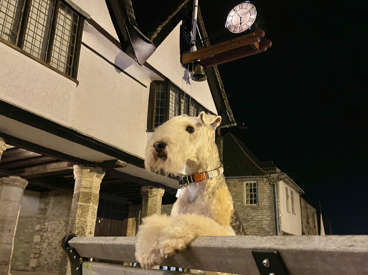 Just to say I will re follow you all as soon as Twitter allow me to I’m currently restricted on how many people I can follow each day 💋💋💋💋