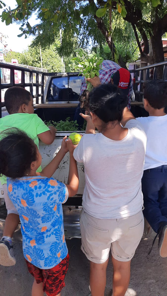 La mañana de este martes #25Enero @MEFCCANic realizó entrega de plantas a las familias del barrio René Cisneros del Distrito 1 de Managua para que así creen su propio patio saludable en sus hogares.
#SomosPuebloPresidente #Nicaragua <a href="/ManaguaMefcca/">MEFCCA_Managua</a> <a href="/FirmesP/">Firmes Por la Paz</a> <a href="/todoscondaniel2/">Todos con Daniel</a>