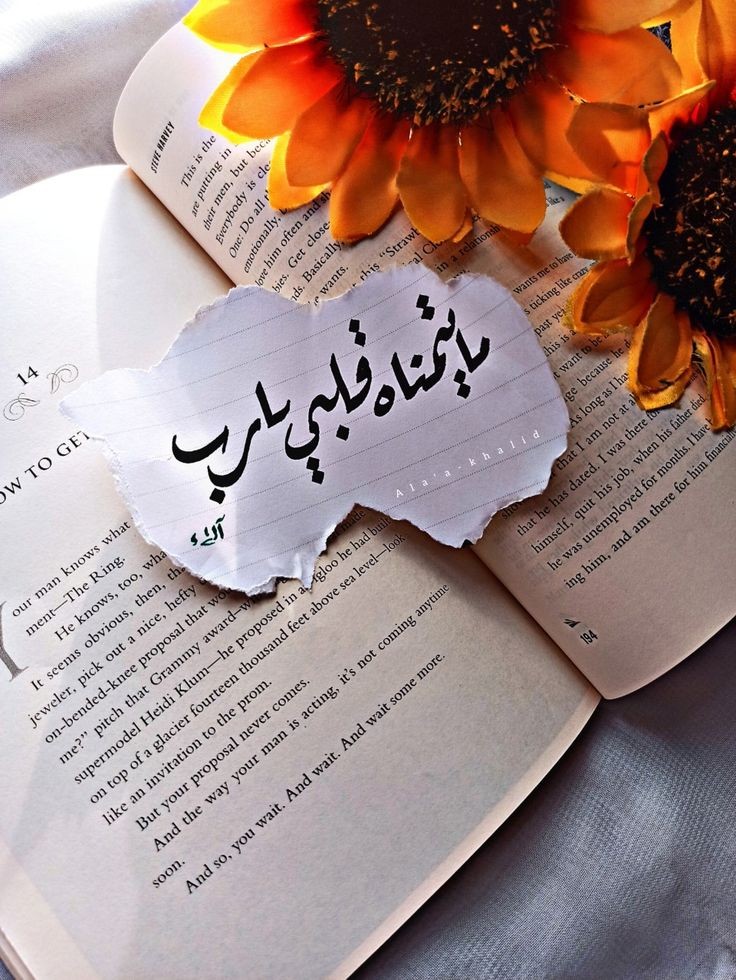 HaDeMelH15's tweet photo. https://t.co/od5AhdErc6