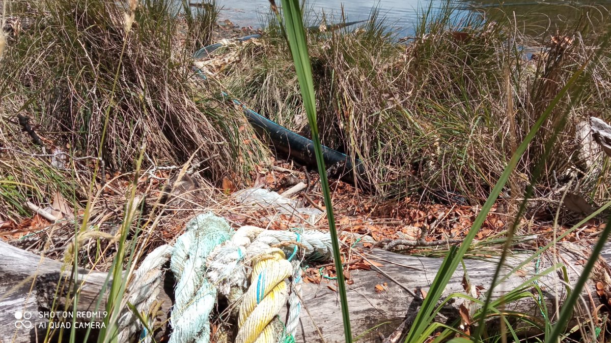 YarelaAysen's tweet photo. Pescadores artesanales con un equipo técnico nos envían estas imágenes desde Melinka.

Las salmoneras se expresan de estas formas también, con este basural. https://t.co/pFTXbu0QnL