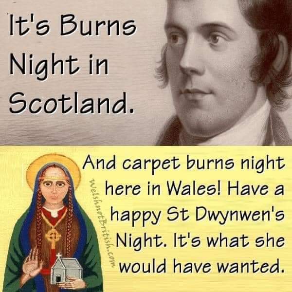 Happy St Dwynwen's day Welshies and happy Burns night to all the Scots 🏴󠁧󠁢󠁷󠁬󠁳󠁿🏴󠁧󠁢󠁳󠁣󠁴󠁿 #StDwynwensDay #BurnsNight